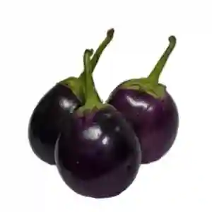 Brinjal 1 kg